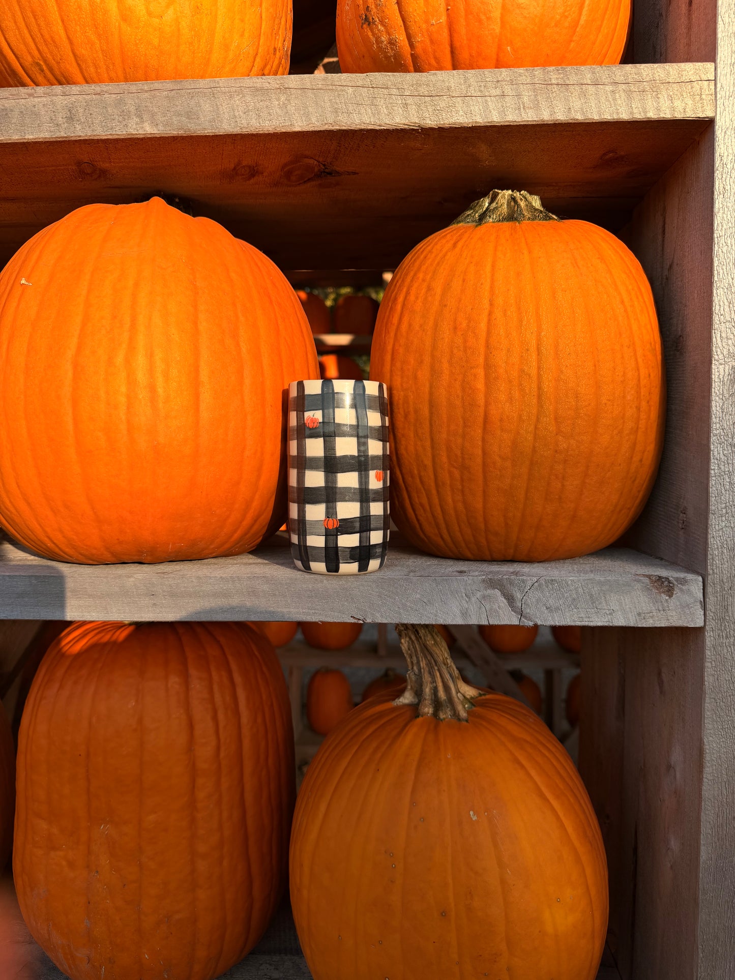 Black Gingham w/ pumpkins (Four sizes available)